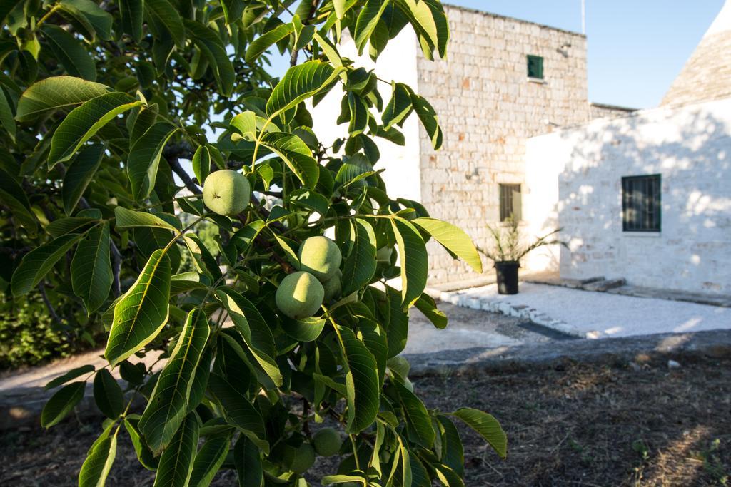 Maison Milleottocento Cisternino Εξωτερικό φωτογραφία