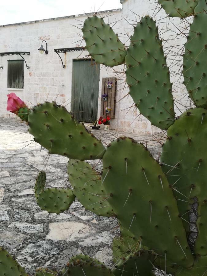 Maison Milleottocento Cisternino Εξωτερικό φωτογραφία