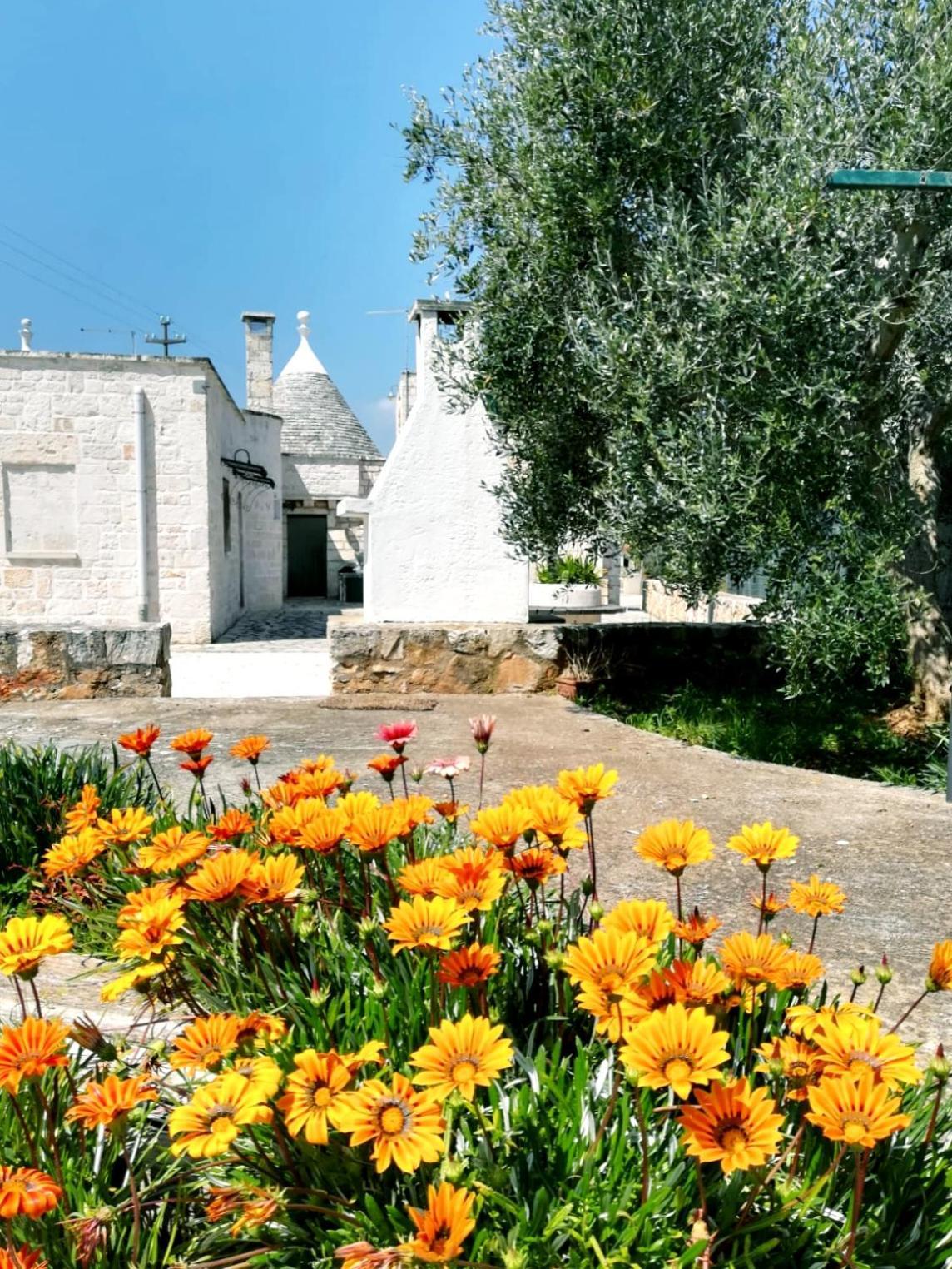 Maison Milleottocento Cisternino Εξωτερικό φωτογραφία